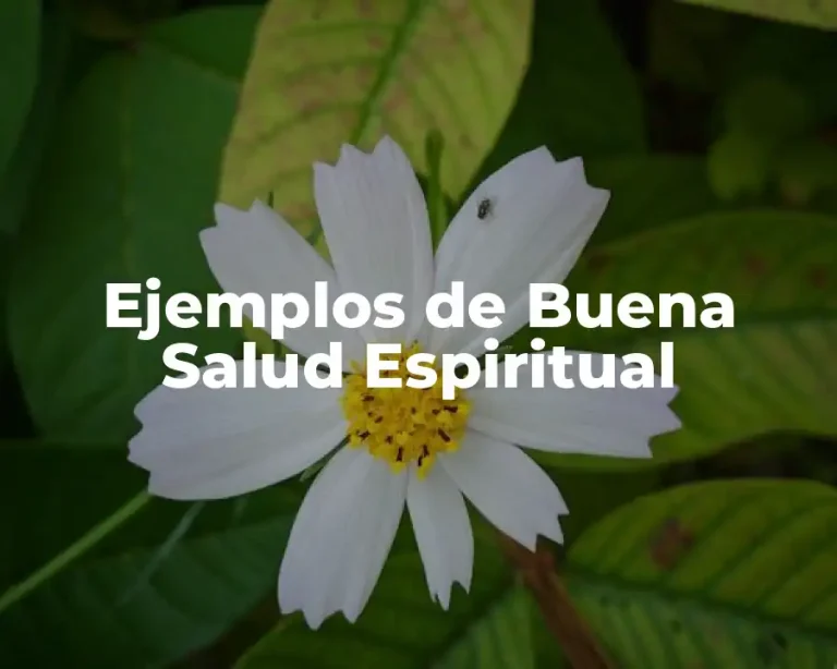 Ejemplos de Buena Salud Espiritual