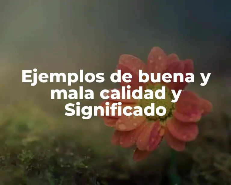 Ejemplos de buena y mala calidad y Significado