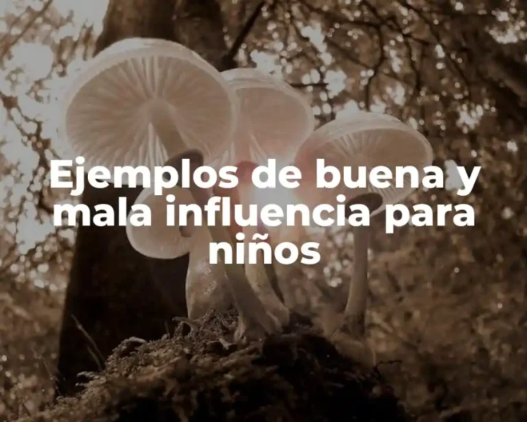 Ejemplos de buena y mala influencia para niños