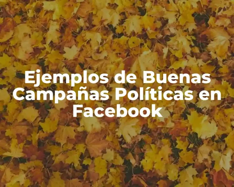 Ejemplos de Buenas Campañas Políticas en Facebook