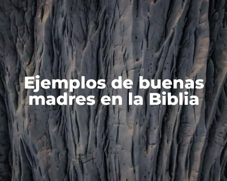 Ejemplos de buenas madres en la Biblia