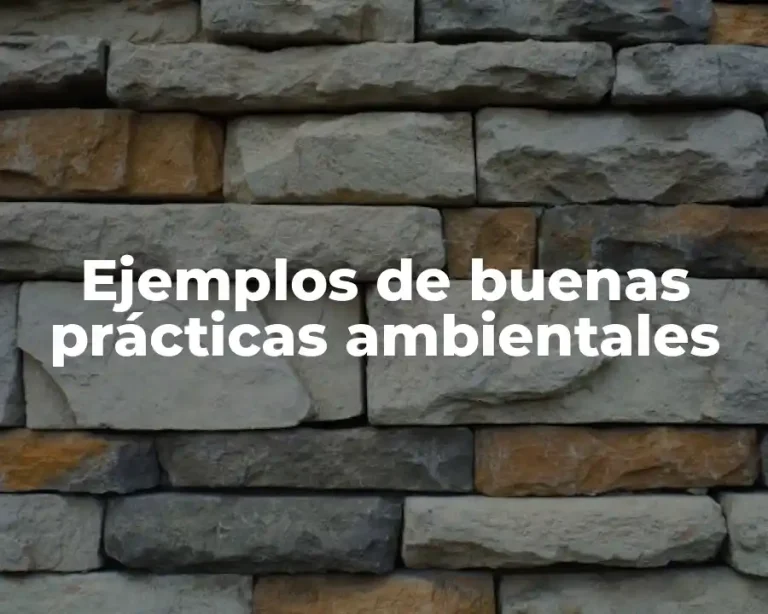 Ejemplos de buenas prácticas ambientales