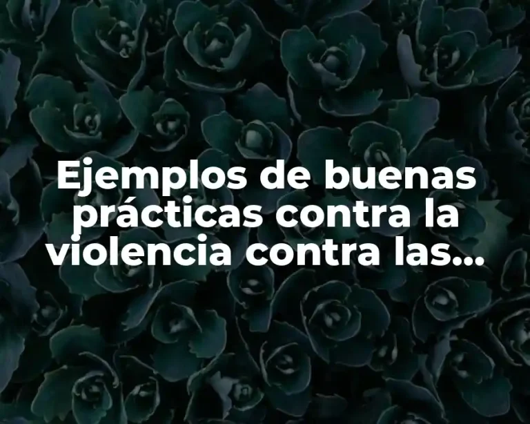 Ejemplos de buenas prácticas contra la violencia contra las mujeres y Significado