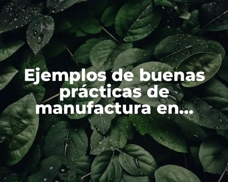 Ejemplos de buenas prácticas de manufactura en alimentos