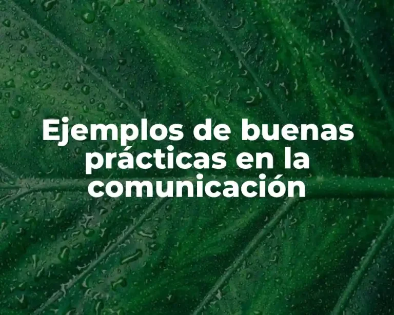 Ejemplos de buenas prácticas en la comunicación