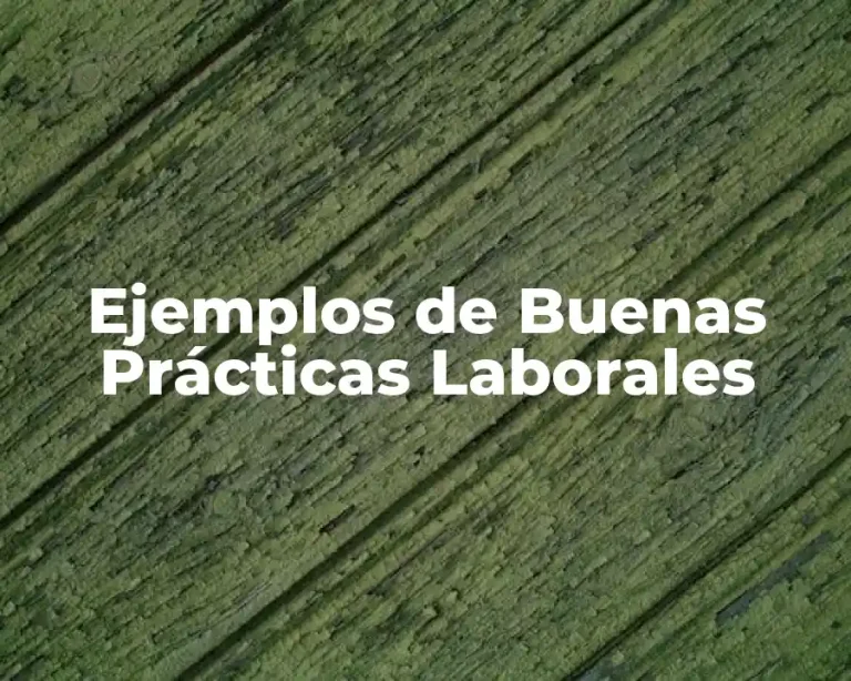 Ejemplos de Buenas Prácticas Laborales
