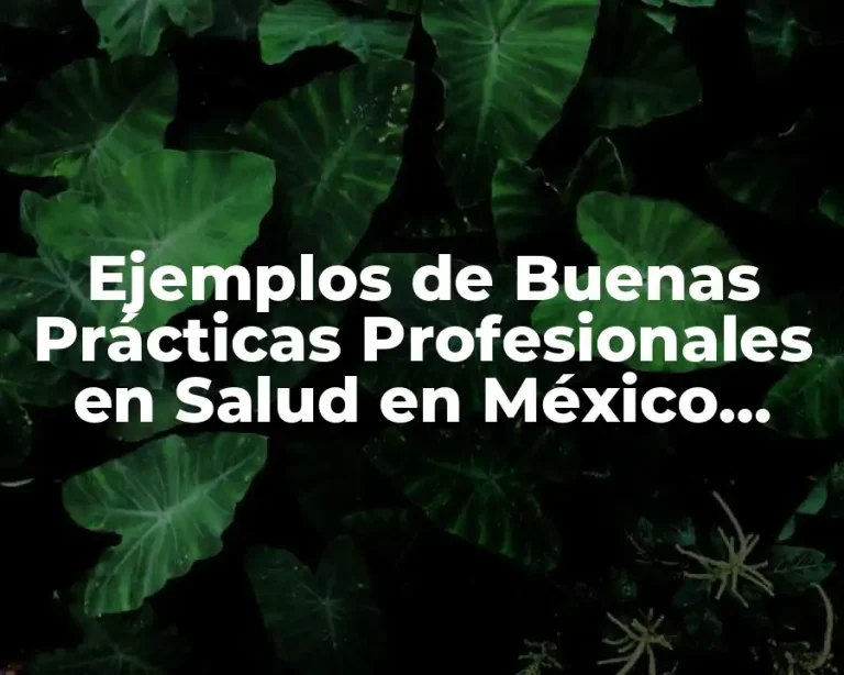 Ejemplos de Buenas Prácticas Profesionales en Salud en México Medicamentos