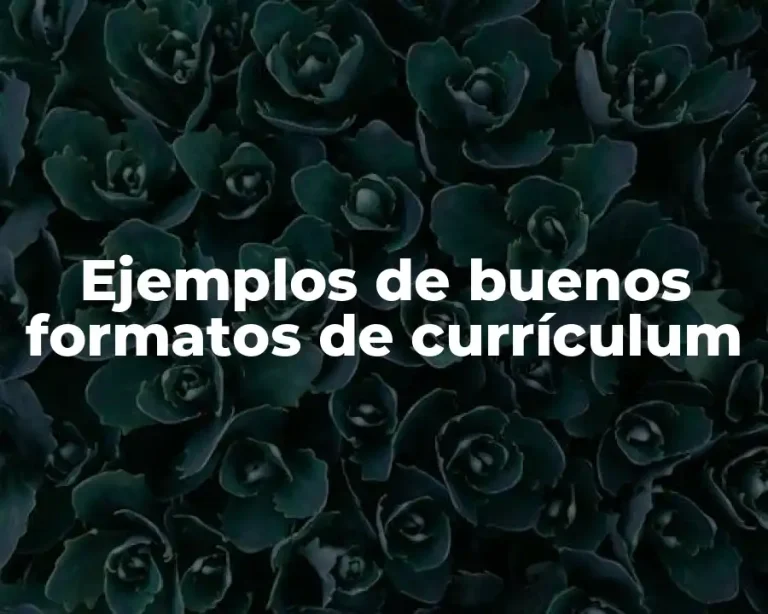 Ejemplos de buenos formatos de currículum
