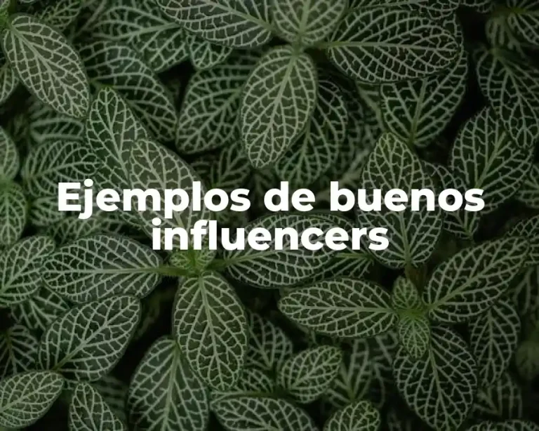 Ejemplos de buenos influencers