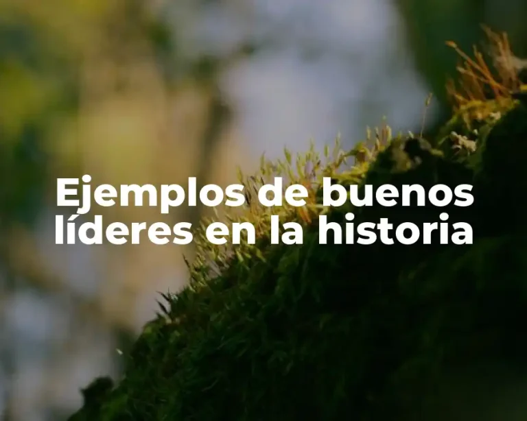 Ejemplos de buenos líderes en la historia