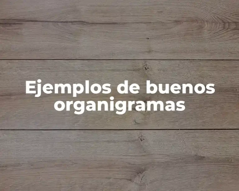 Ejemplos de buenos organigramas