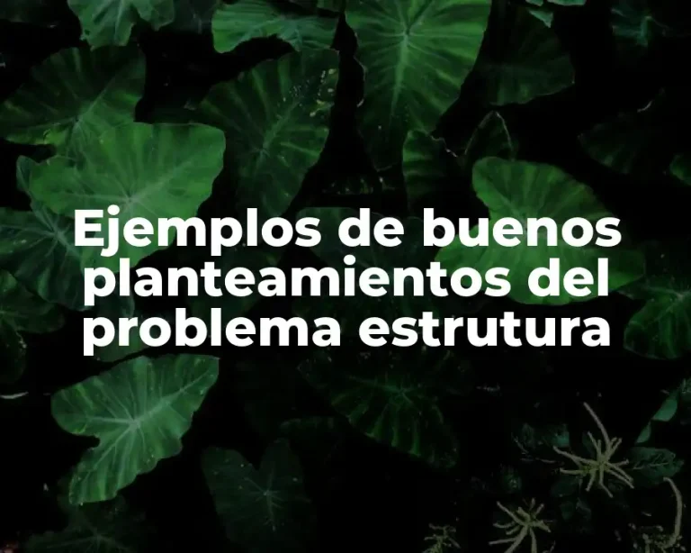 Ejemplos de buenos planteamientos del problema estrutura