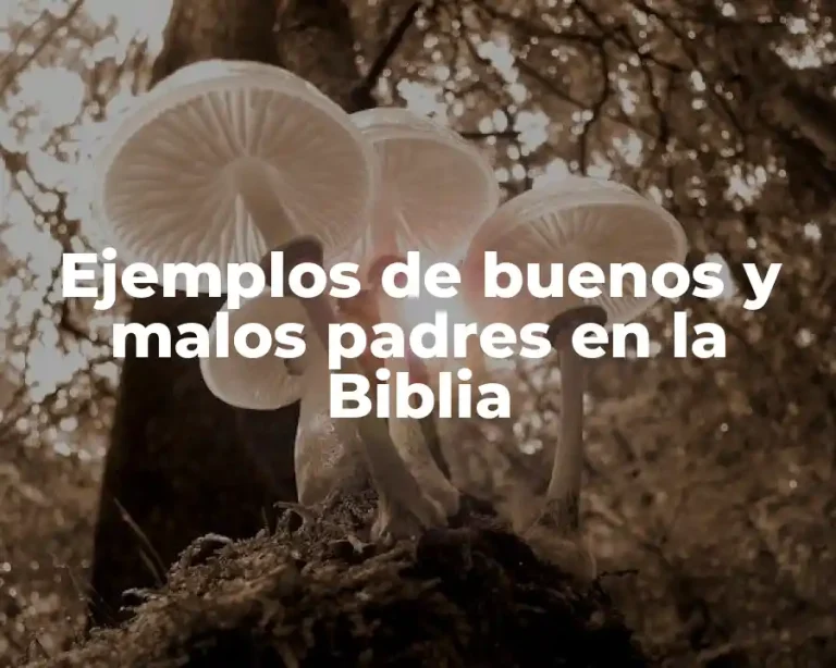 Ejemplos de buenos y malos padres en la Biblia