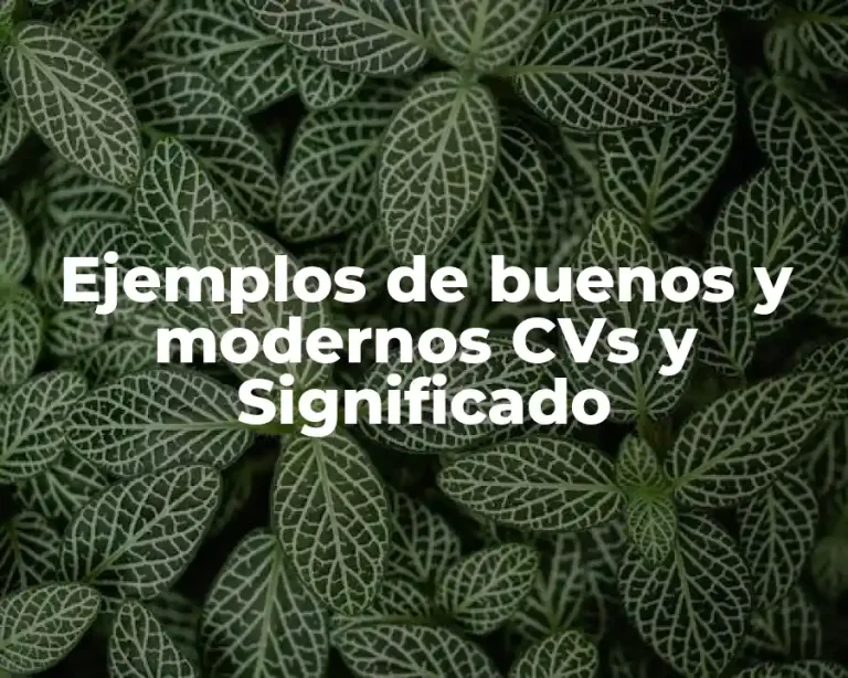Ejemplos de buenos y modernos CVs y Significado