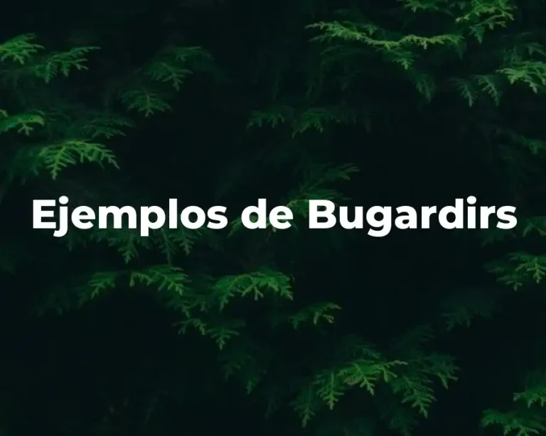 Ejemplos de Bugardirs