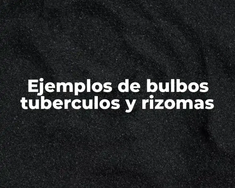 Ejemplos de bulbos tuberculos y rizomas