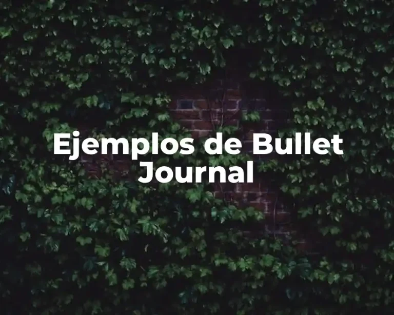 Ejemplos de Bullet Journal