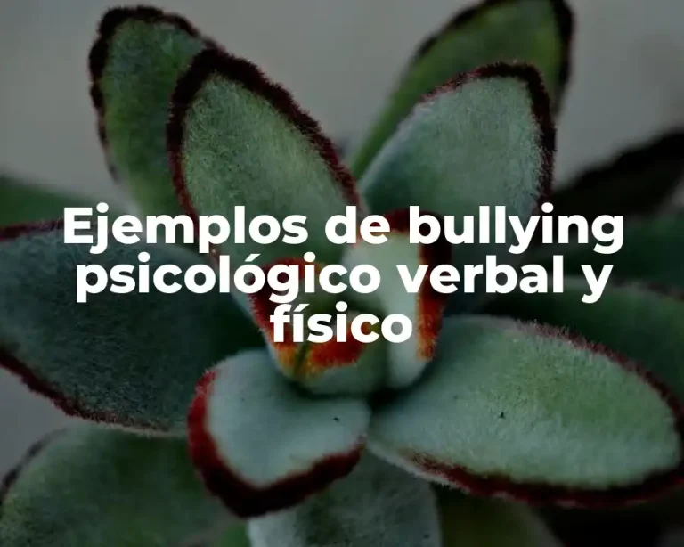 Ejemplos de bullying psicológico verbal y físico