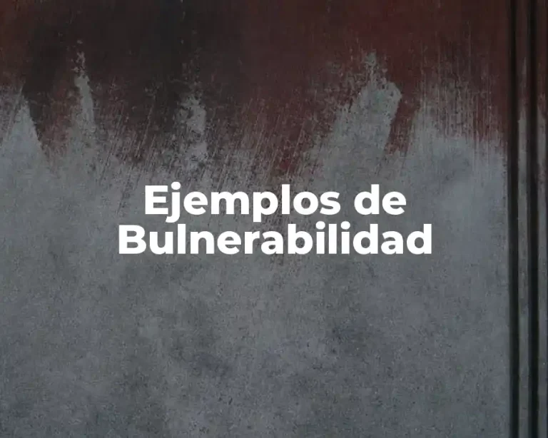 Ejemplos de Bulnerabilidad