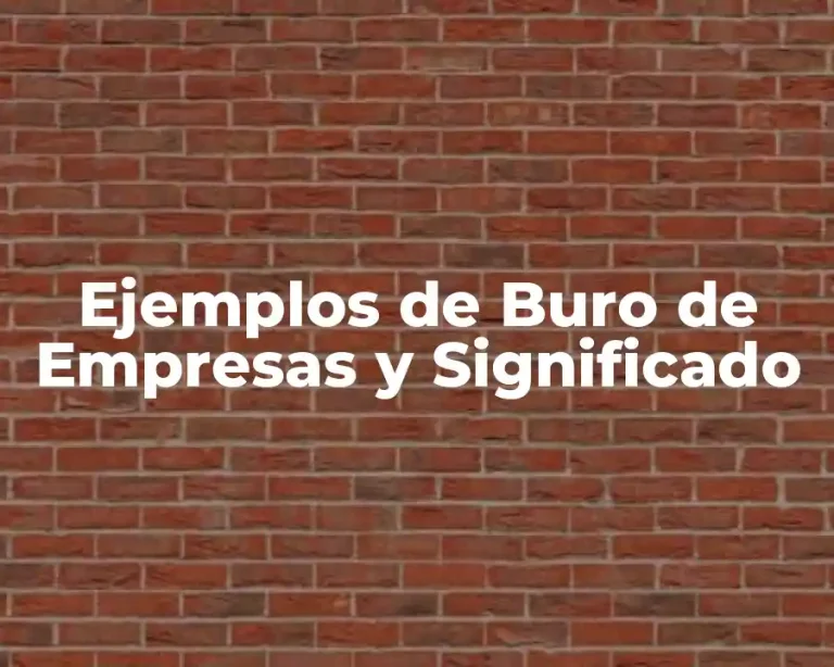 Ejemplos de Buro de Empresas y Significado