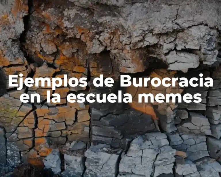Ejemplos de Burocracia en la escuela memes