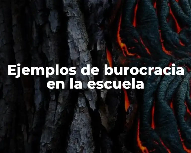 Ejemplos de burocracia en la escuela