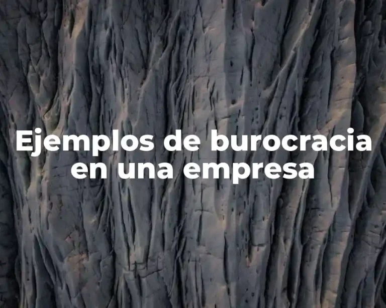 Ejemplos de burocracia en una empresa
