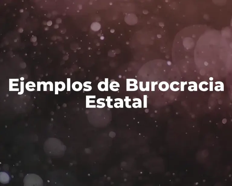 Ejemplos de Burocracia Estatal
