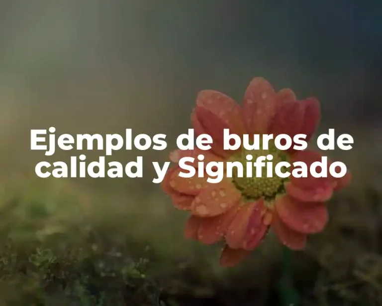 Ejemplos de buros de calidad y Significado