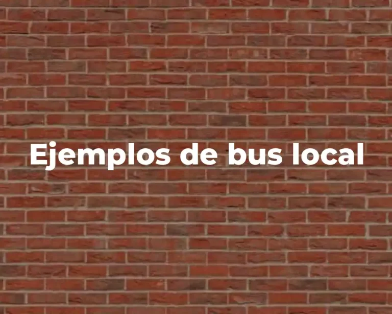 Ejemplos de bus local