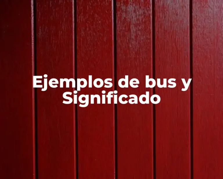 Ejemplos de bus y Significado