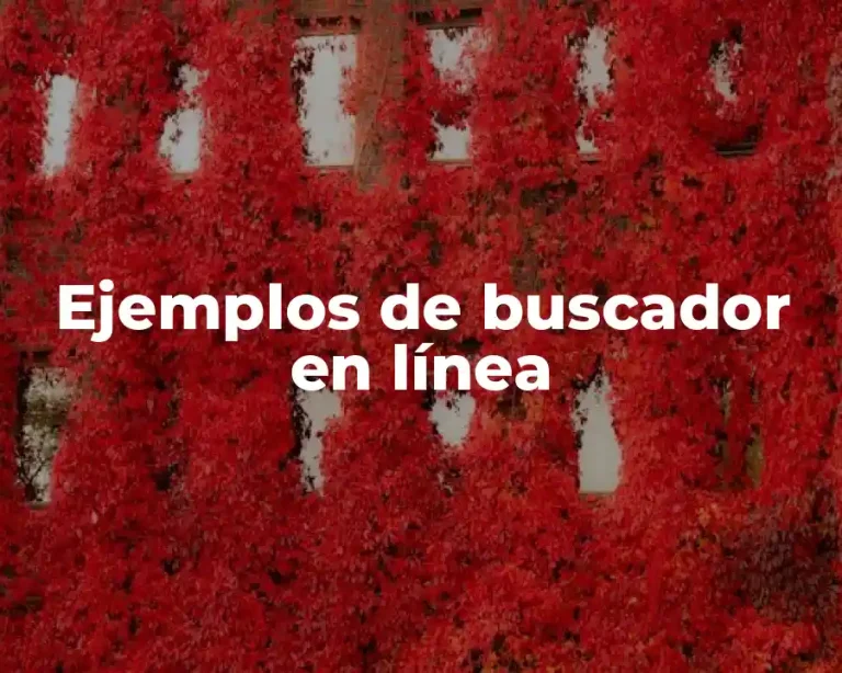 Ejemplos de buscador en línea