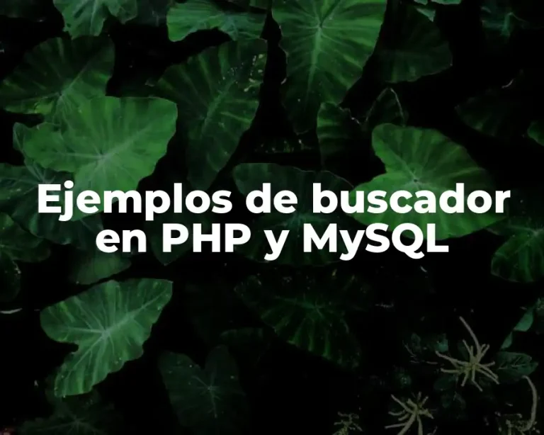 Ejemplos de buscador en PHP y MySQL
