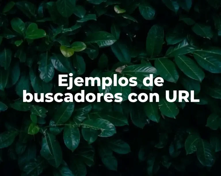 Ejemplos de buscadores con URL