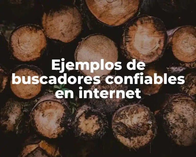 Ejemplos de buscadores confiables en internet
