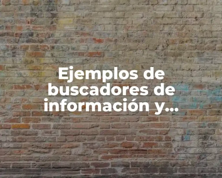 Ejemplos de buscadores de información y Significado