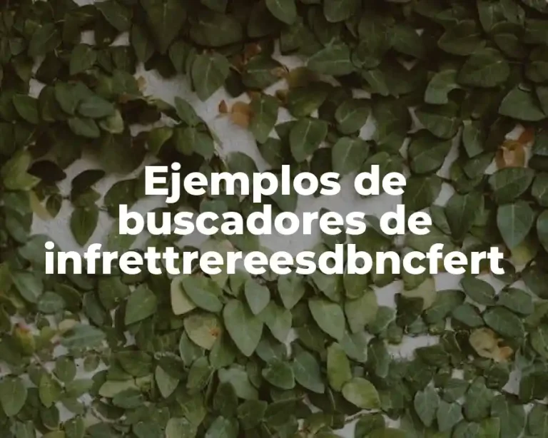Ejemplos de buscadores de infrettrereesdbncfert