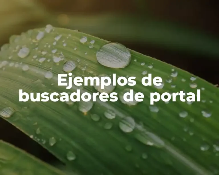Ejemplos de buscadores de portal