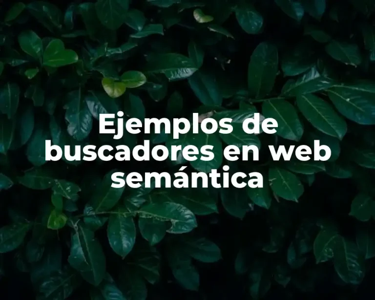 Ejemplos de buscadores en web semántica