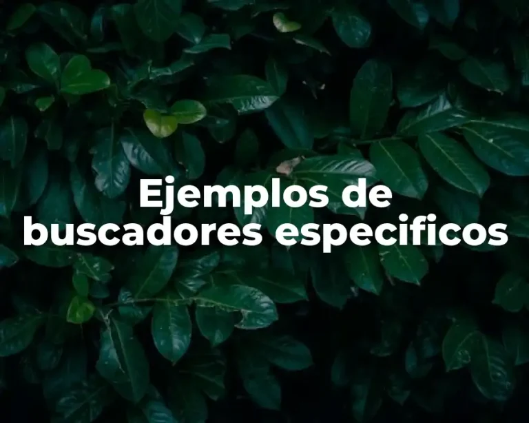 Ejemplos de buscadores especificos
