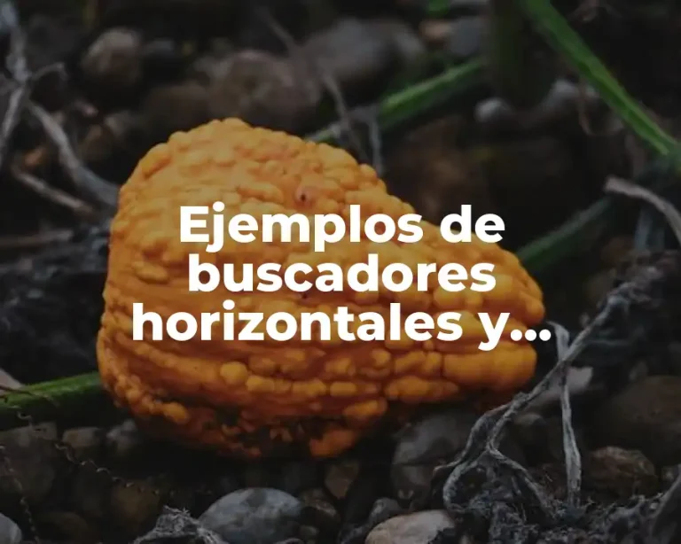 Ejemplos de buscadores horizontales y verticales en Excel