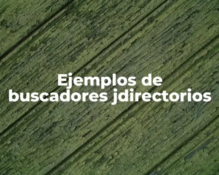 Ejemplos de buscadores jdirectorios