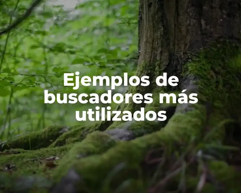 Ejemplos de buscadores más utilizados