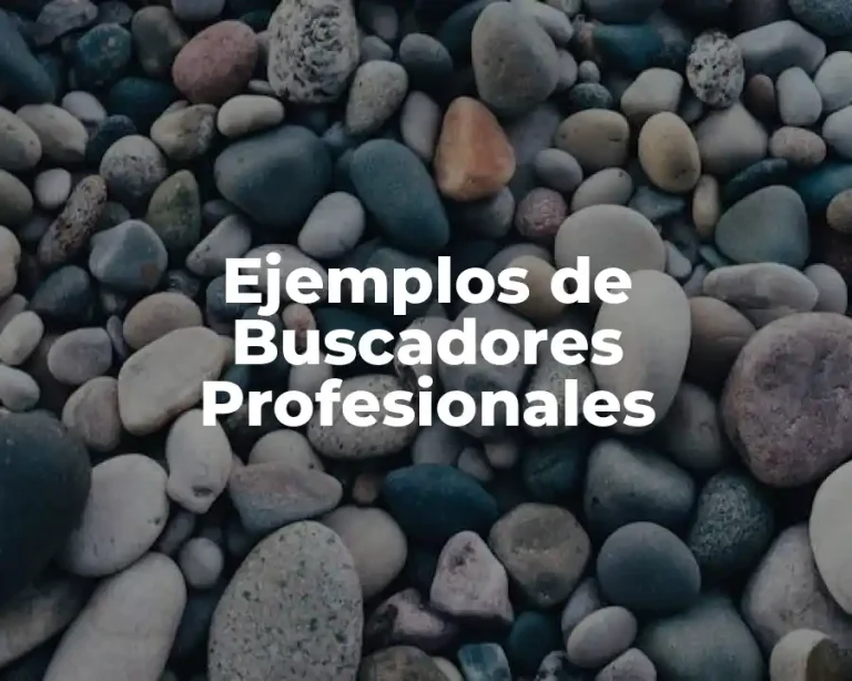Ejemplos de Buscadores Profesionales