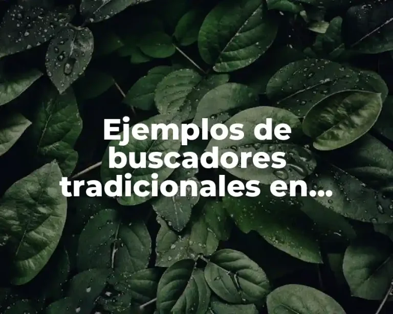 Ejemplos de buscadores tradicionales en informática