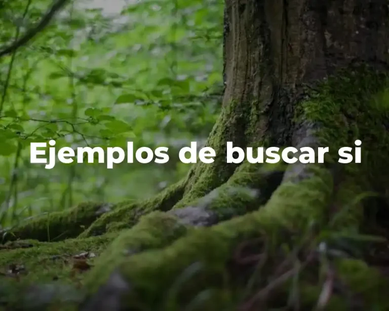 Ejemplos de buscar si