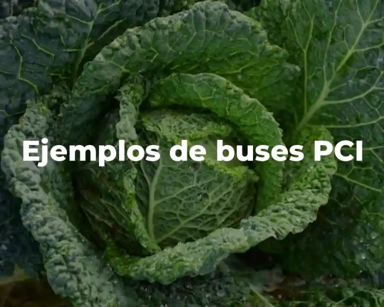 Ejemplos de buses PCI
