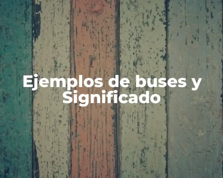 Ejemplos de buses y Significado