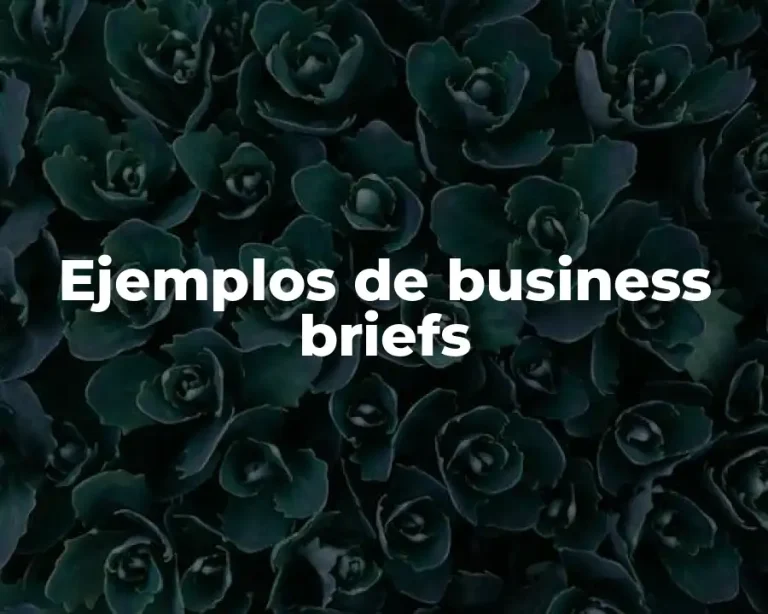 Ejemplos de business briefs