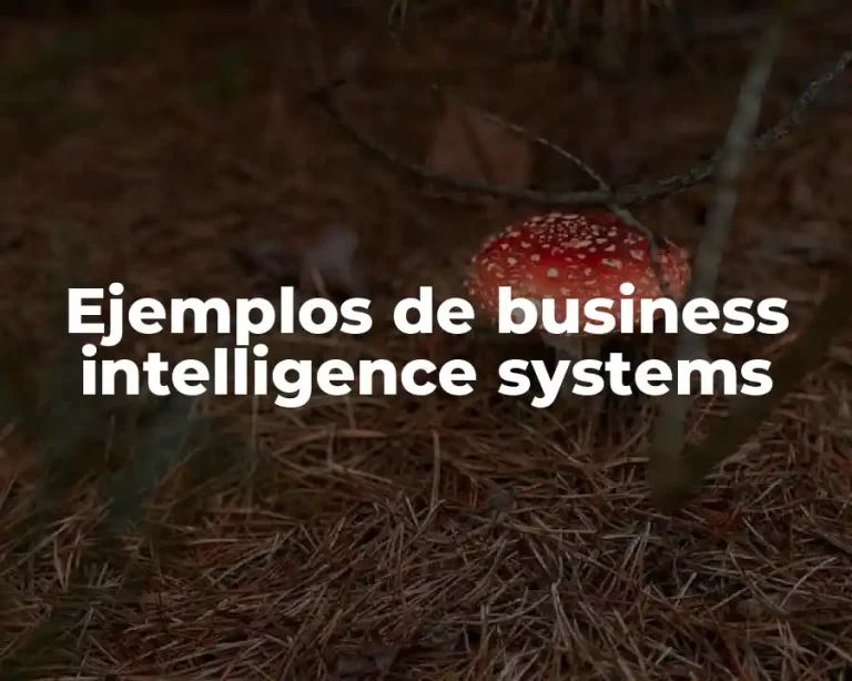 Ejemplos de business intelligence systems